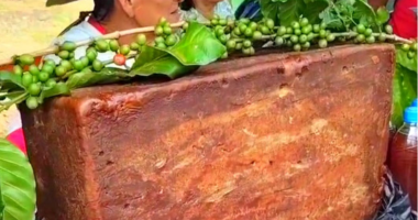 LA PANELA MÁS GRANDE QUE HE VISTO